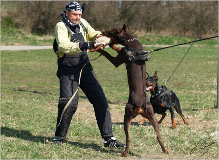 Training in Prague - 2. 4. 2008